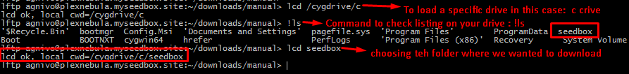 LFTP multisegmented with Seedbox