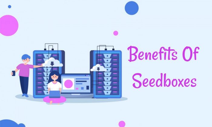 Benefits of seedbox